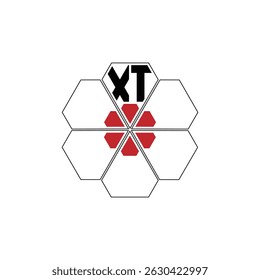 982 diamond shape alphabet letter pentagon geometric educational learning flower logo X T