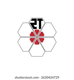 996 diamond shape alphabet letter pentagon geometric educational learning flower logo Z T