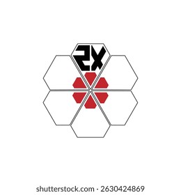 998 diamond shape alphabet letter pentagon geometric educational learning flower logo Z X