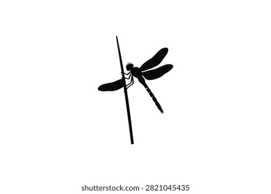 ['A high contrast black silhouette of a dragonfly resting on a slender reed against a plain white background']