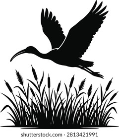 ['A high-contrast black and white graphic illustration featuring a bird with a curved beak in flight above a cluster of cattails and tall marsh grass']