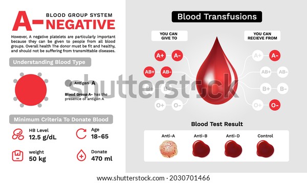 Negative Blood Group Characteristics Additional Information Stock ...