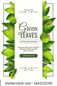 A4 card design with fresh green leaves behind the white paper. Perfect for invitation, wedding anniversary, greeting card, banner, cover, flyer. Vector illustration.