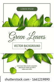 A4 card design with fresh green leaves behind the white strip of paper. Perfect for invitation, greeting card, banner, cover, flyer, brochure. Vector illustration.