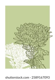 A4 chrysantemum illustration in green and white colors. Vector graphic asset for print projects with hand drawn autumn flowers. Dia de los Muertos botanical highly detailed and quality flower print.