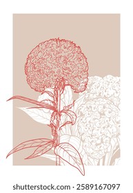 A4 cockscomb illustration in red and white. Vector graphic asset for print projects with hand drawn autumn flowers. Dia de los Muertos botanical highly detailed and quality flower print.