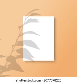 A4 format Mockup. Shadows overlay effects of A leaf on background in a modern minimalist style
