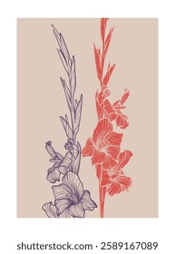 A4 gladiolus illustration in red and purple colors. Vector graphic asset for print projects with hand drawn autumn flowers. Dia de los Muertos botanical highly detailed and quality flower print.