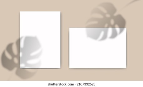A4 paper mockup with overlay leaf shadow from window. Tropical monstera transparent reflection on beige background. Realistic vector template for poster, flyer and post.