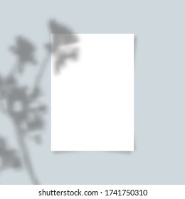 A4 paper sheet with transparent overlay shadow from leaves, branches, plant or foliage. Photo-realistic illustration. Minimalist scene mockup. Vector.