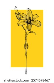  A4 poster design with a line art tiger lily flower combined with a dipper dripping honey. Hand drawn vector illustration. 