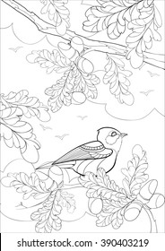 A4 Vector monochrome  Zentangle stylized abstract bright bird on a branch with leaves and acorns. Art and Color Therapy anti stress. An anti-stress Coloring Book. coloring page adult and children. 