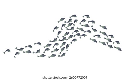 AA school of small silver fish. Vector illustration isolated on white background.