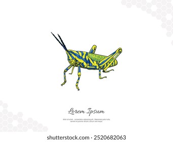 Aak Grasshopper Arte vectorial para la decoración de la pared. Imágenes animales realistas. Animal salvaje dibujado a mano aislado. para la decoración de la habitación, eventos, etc