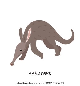 Aardvark, African animal. Vector illustration isolated on white background.