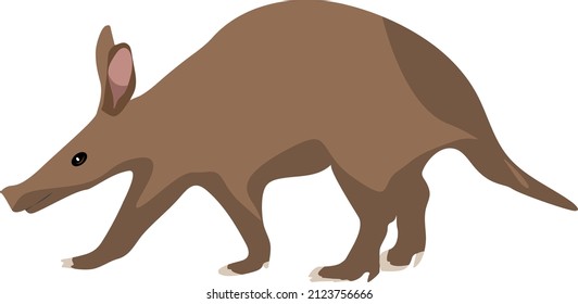 Aardvark animal, illustration, vector on a white background.