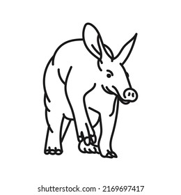 Aardvark Vector. Hand Drawn Animal Illustration