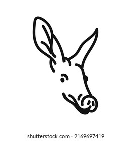 Aardvark Vector. Hand Drawn Animal Illustration