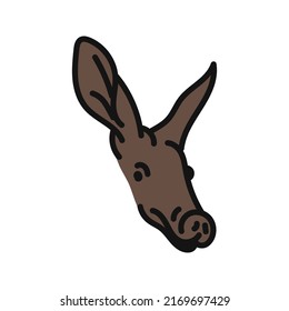 Aardvark Vector. Hand Drawn Animal Illustration