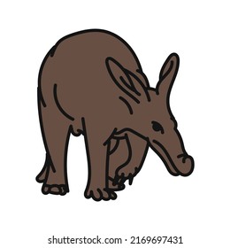 Aardvark Vector. Hand Drawn Animal Illustration