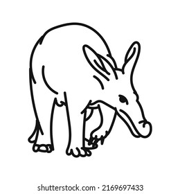 aardvark vector. hand drawn animal illustration