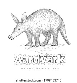 el vector aardvark parece realista. ilustración de animales dibujada a mano