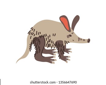 Aardvark Wild Exotic African Animal Vector Illustration