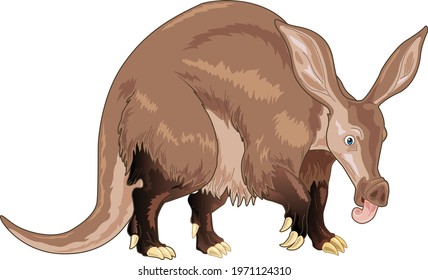 Aarvark cartoon illustration with brown body coat