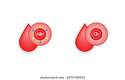 AB positive blood type, universal recipient. O negative, universal donor. Vector illustration.