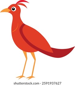 ababil - bird on white background, ababil, bird