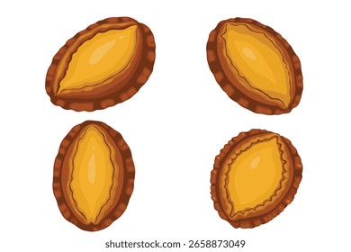 Vetor de Abalone. Isolado no fundo branco.	