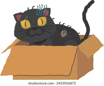 Abandoned black cat with loose hair in a cardboard box