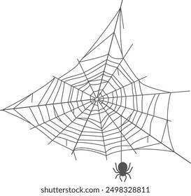 Abandoned cobweb with hanging spider. Black net silhouette isolated on white background