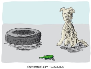 abandoned dog