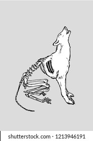 Abandoned, exhausted animal, howling at the moon. Half-dead wolf. Problems of ecology and nutrition. Hand-drawn.