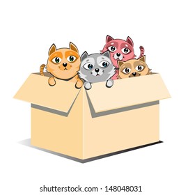Abandoned Kittens Adoption In Box