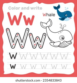 ABC alphabet tracing practice worksheet. Educational coloring book page with outline vector illustration for preschool. Letter W.