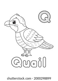 ABC animals coloring book. Animals alphabet. Vector cartoon quail. Isolated on white background.