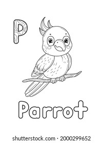 ABC animals coloring book. Animals alphabet. Vector cartoon parrot. Isolated on white background.