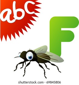 ABC animals: F is for Fly