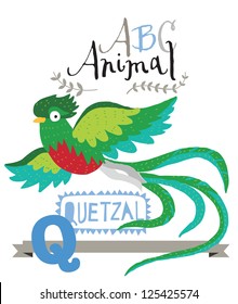 ABC animals: Q is for quetzal. Vector Graphics