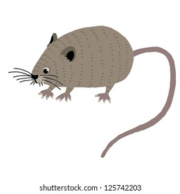 ABC animals: V is for vole. Vector Graphics