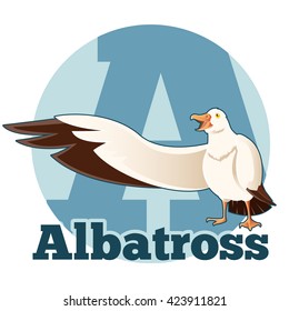 ABC Cartoon Albatross
