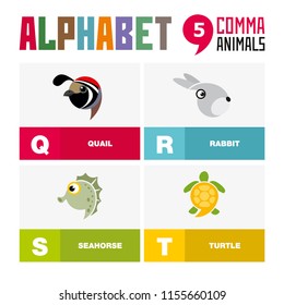 Abc English alphabet animal icon set vector illustration
