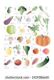 ABC English colorful food alphabet. Fruits, vegetables, nuts. Vegetarian, vegan, healthy food. Hand drawn. Learn the English alphabet. Vocabulary. Isolated on white. Vector illustration.