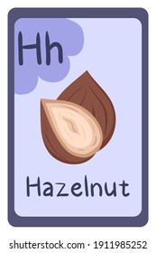 Abc food education flash card, Letter H - hazelnut. Cartoon design template with colorful alphabet education card.