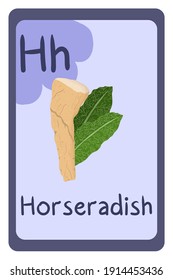 Abc food education flash card, Letter H - horseradish. Cartoon design template with colorful alphabet education card.