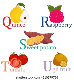 Abc fruit set : quince, raspberry, sweet potato, tomato, ugli fruit, isolated on white background, illustration, vector