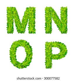 ABC glass leaves letter number elements modern nature placard lettering leafy foliar deciduous vector set. M N O P leaf leafed foliated natural letters latin English alphabet font collection.