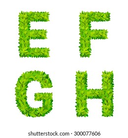 ABC glass leaves letter number elements modern nature placard lettering leafy foliar deciduous vector set. E F G H leaf leafed foliated natural letters latin English alphabet font collection.